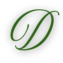 Divya Drishti logo